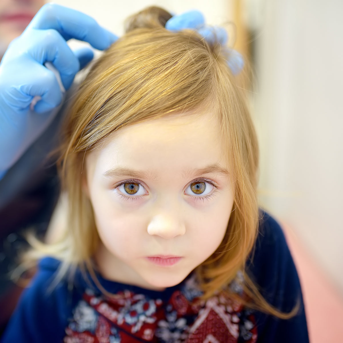 Child hair being checked for lice by someone with blue gloves